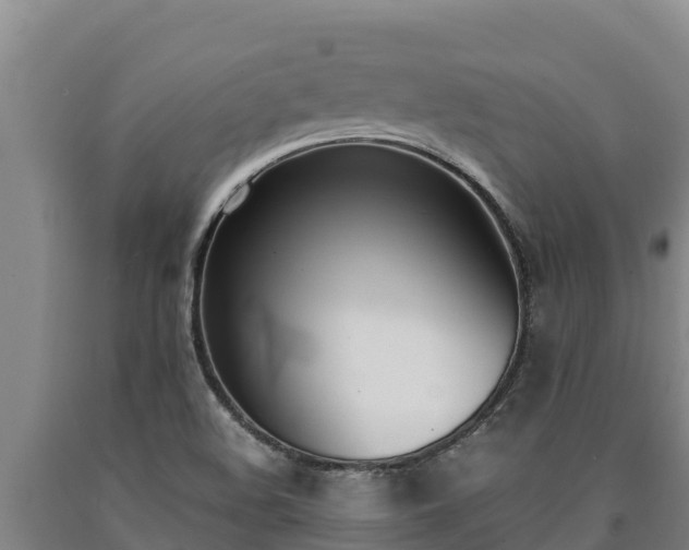 X0000090741508200707271414
