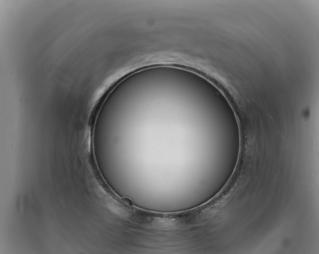 X0000090741509200707271414