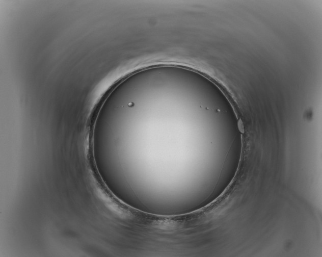 X0000090741511200707271414
