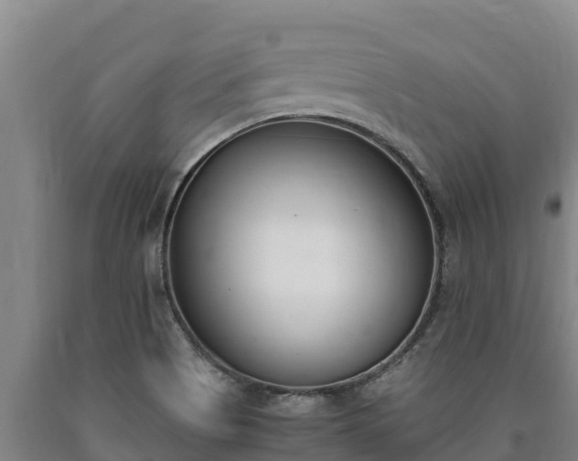 X0000090741513200707271414