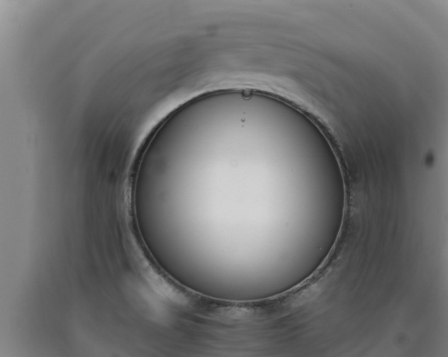 X0000090741517200707271414