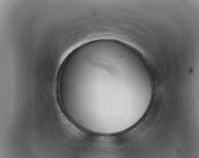 X0000090741518200707271414