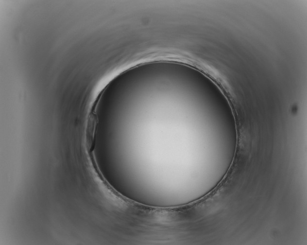 X0000090741520200707271414