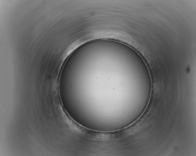 X0000090741521200707271414