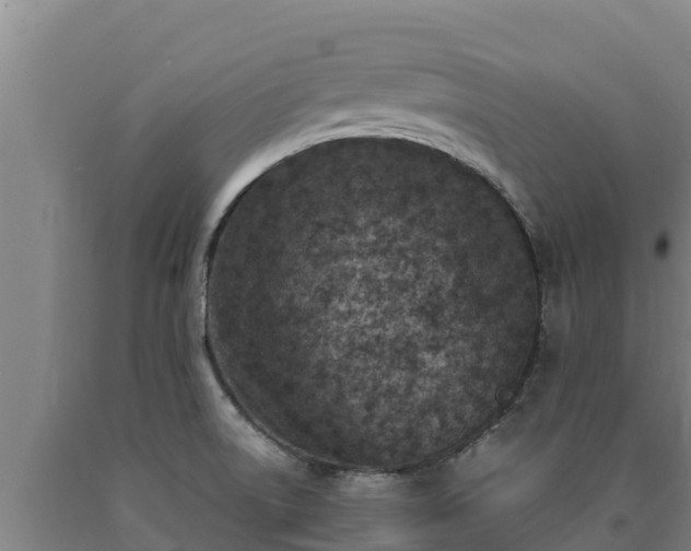 X0000090741522200707271414