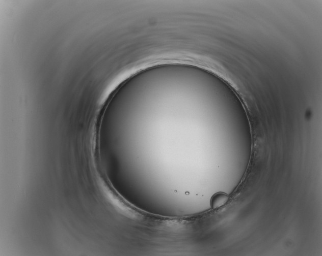 X0000090741523200707271414
