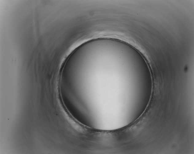 X0000090741525200707271414