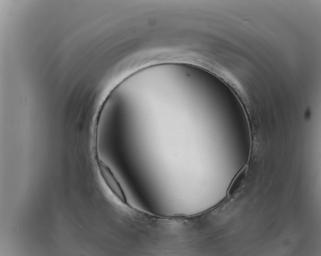 X0000090741528200707271414