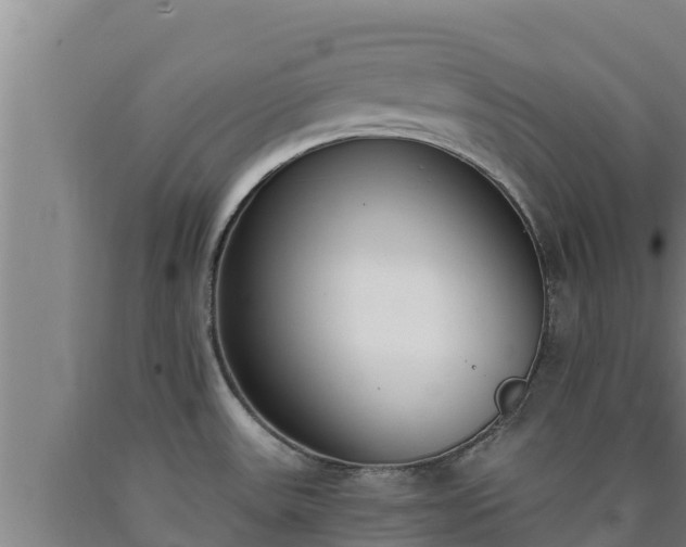 X0000090741531200707271414