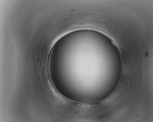 X0000090741534200707271414
