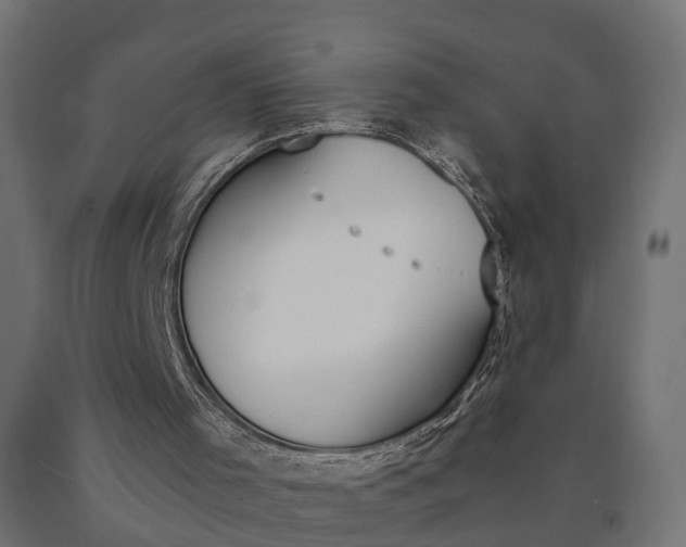 X0000090740001200708031556