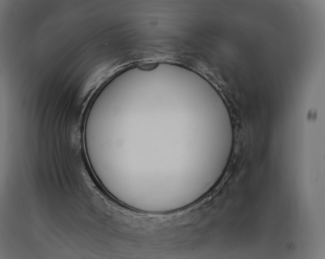 X0000090740002200708031556