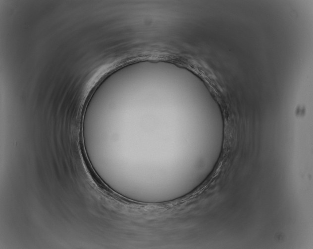 X0000090740003200708031556