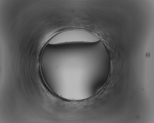 X0000090740005200708031556