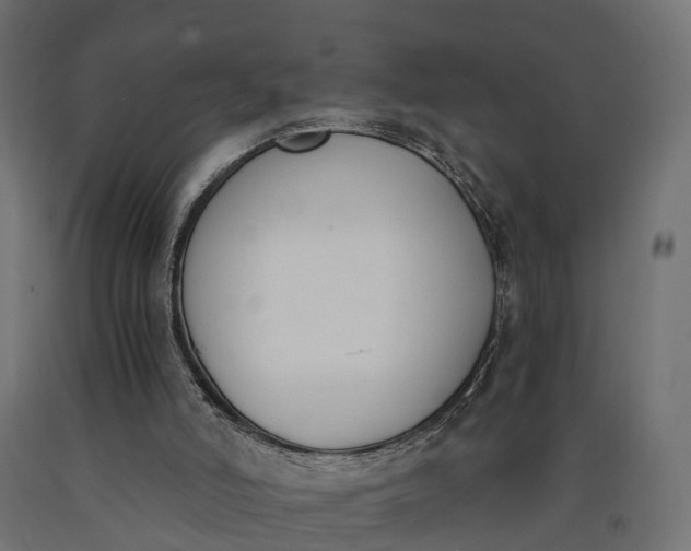 X0000090740006200708031556