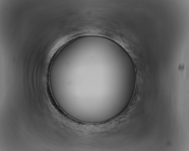 X0000090740007200708031556