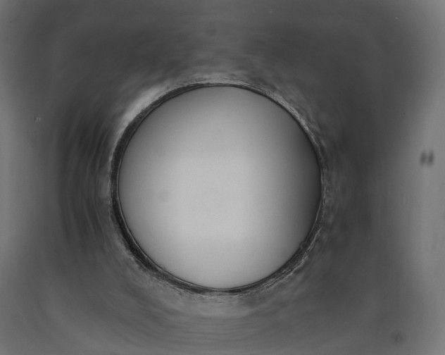 X0000090740008200708031556