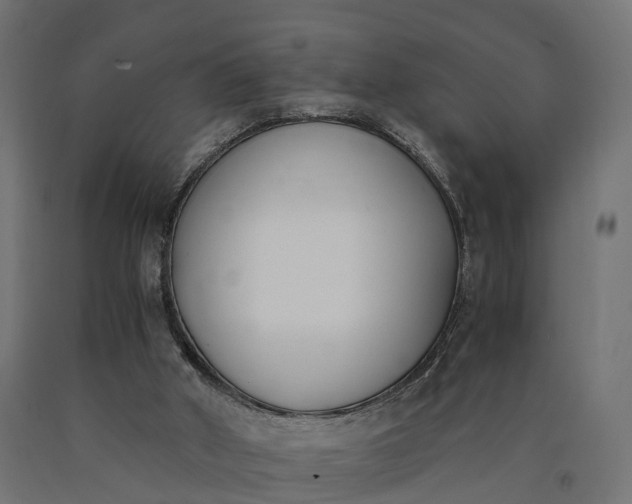 X0000090740010200708031556