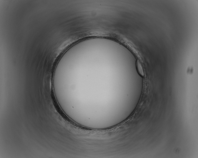 X0000090740011200708031556