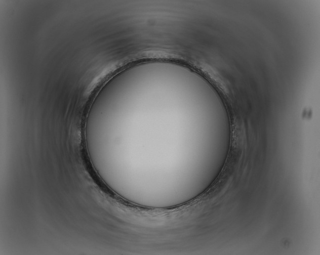 X0000090740015200708031556