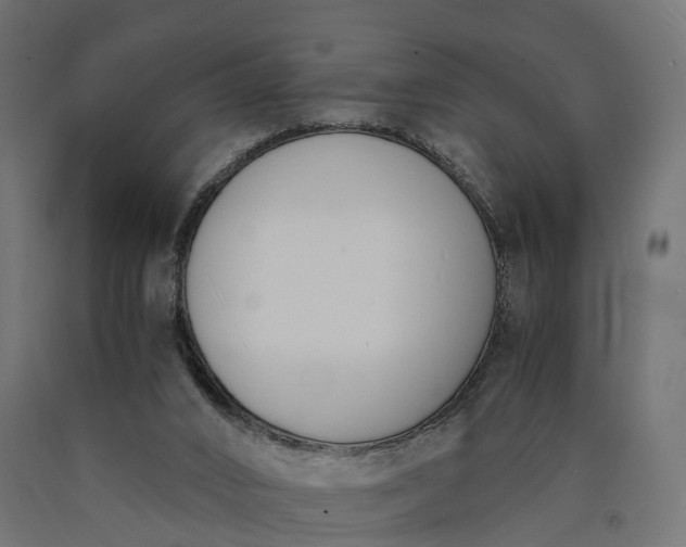 X0000090740016200708031556