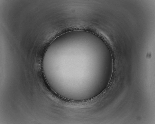 X0000090740017200708031556