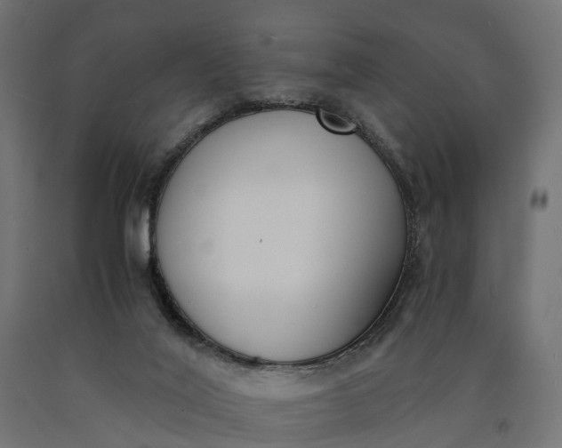 X0000090740020200708031556