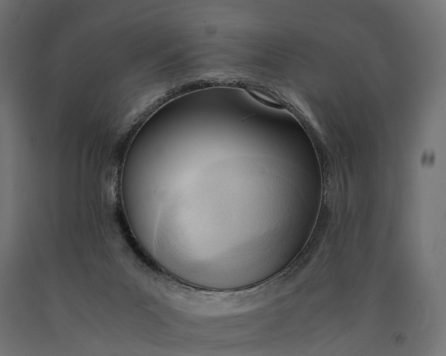 X0000090740023200708031556