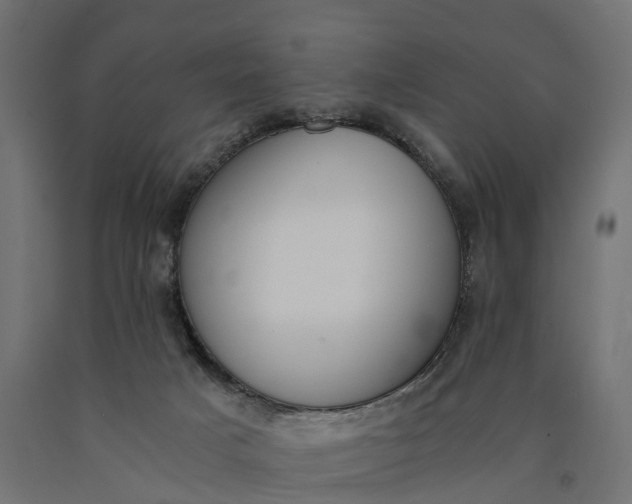 X0000090740025200708031556