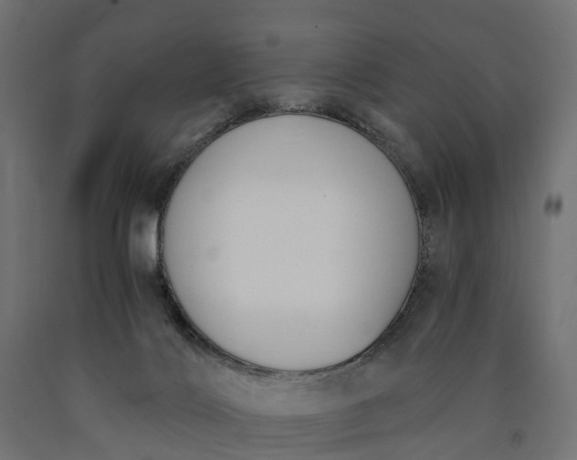 X0000090740028200708031556