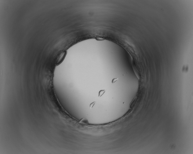 X0000090740029200708031556