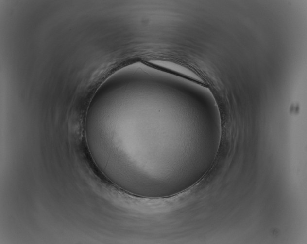 X0000090740031200708031555