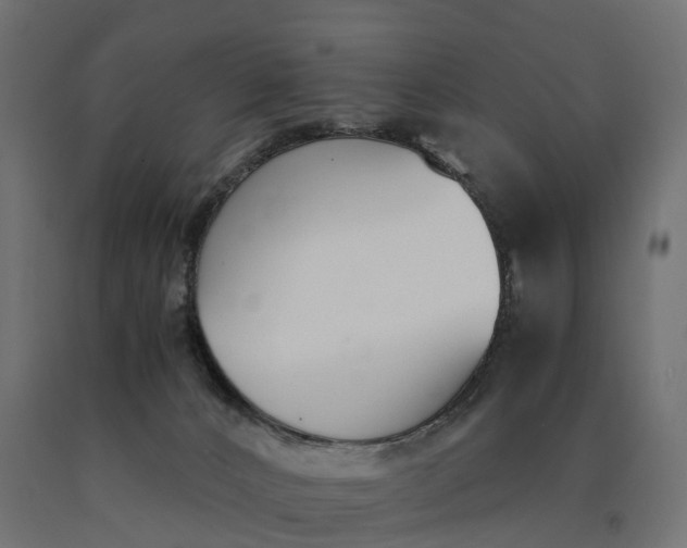 X0000090740032200708031555