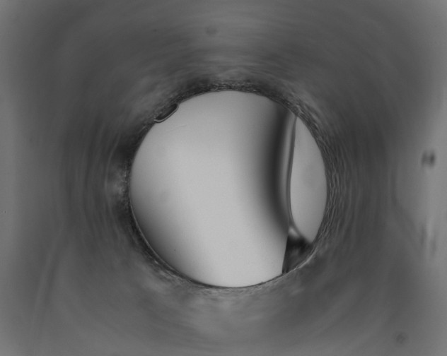 X0000090740033200708031555