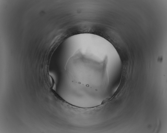 X0000090740035200708031555