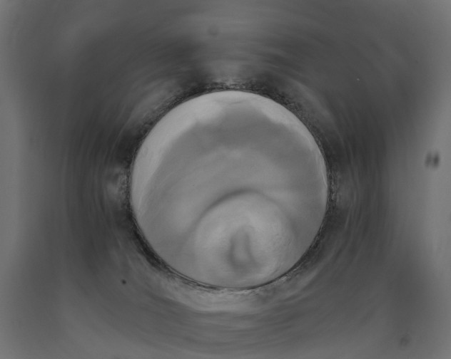 X0000090740036200708031555