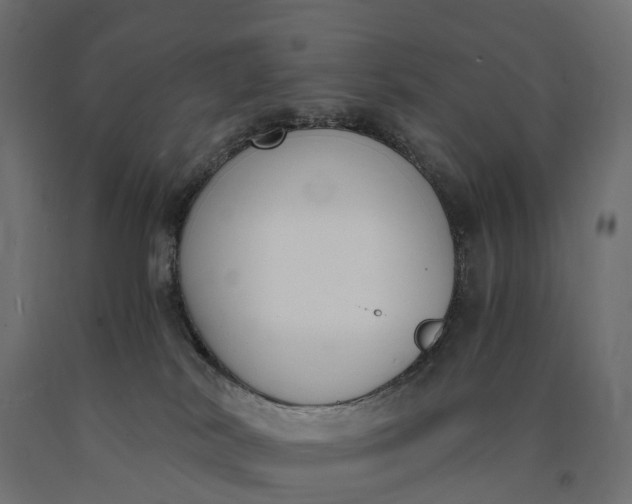 X0000090740038200708031555