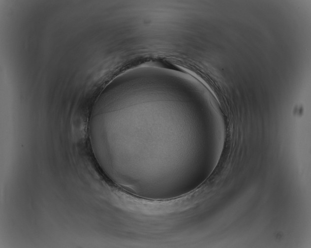 X0000090740039200708031555