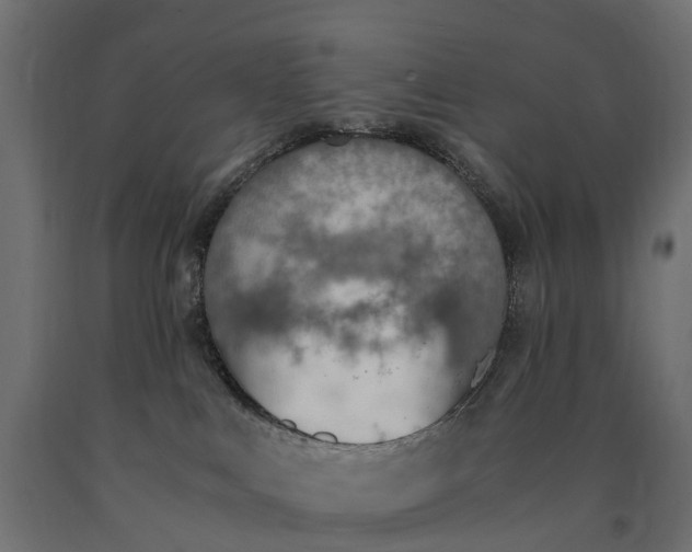 X0000090740043200708031555