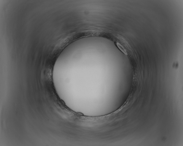 X0000090740045200708031555