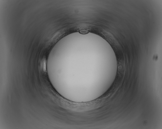 X0000090740046200708031555