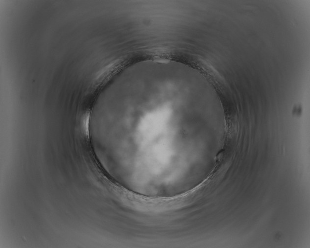 X0000090740047200708031555