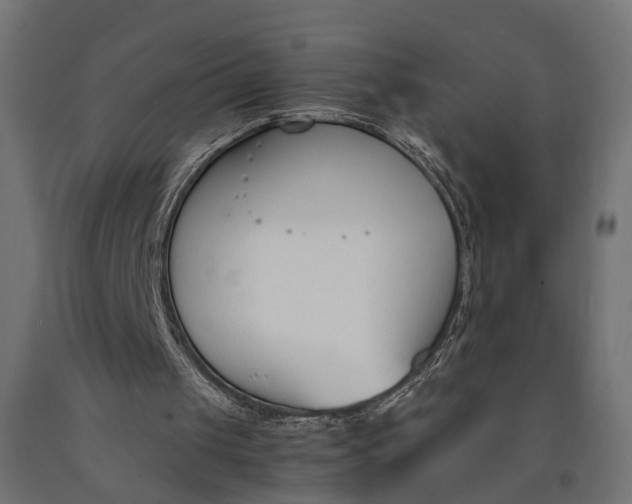 X0000090740049200708031554