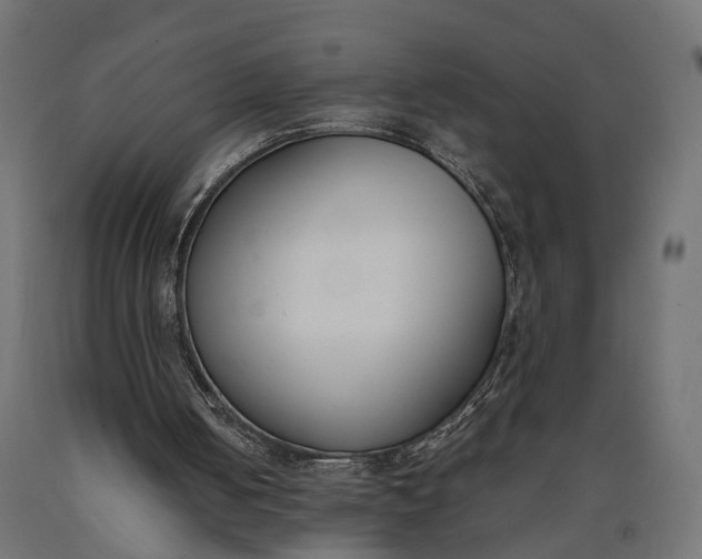 X0000090740050200708031554