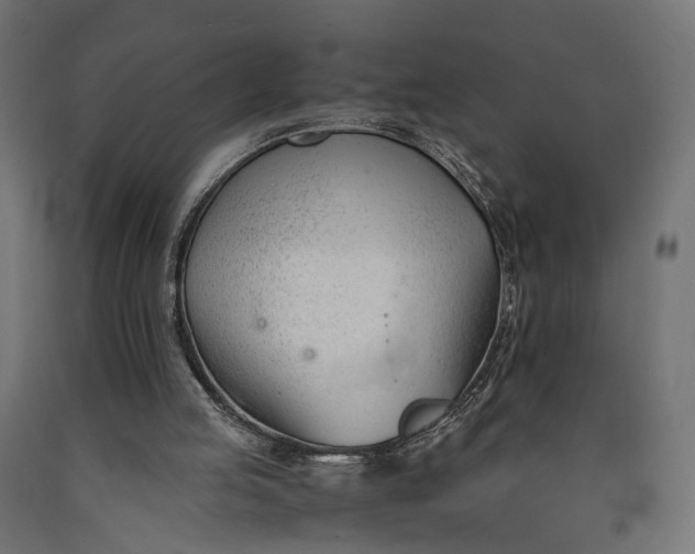 X0000090740053200708031554