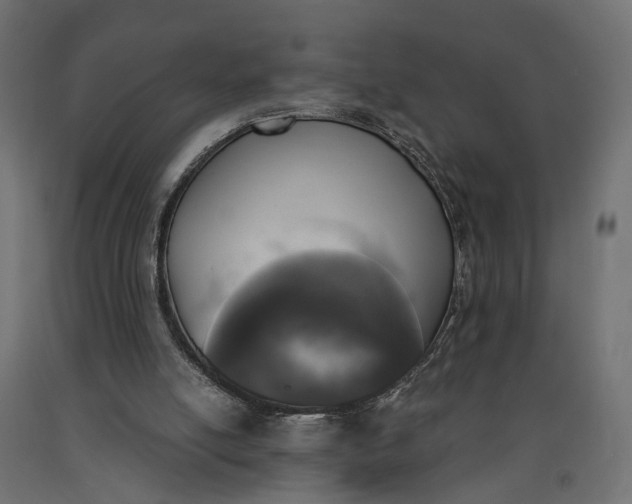 X0000090740054200708031554