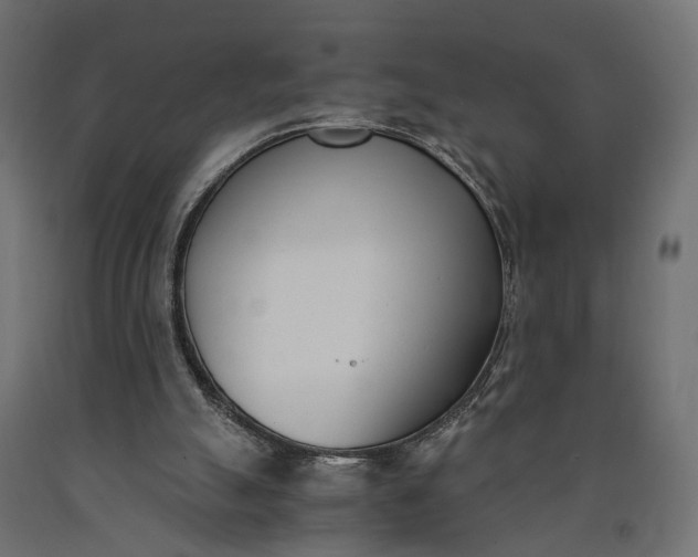 X0000090740055200708031554