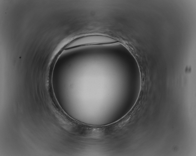 X0000090740056200708031554