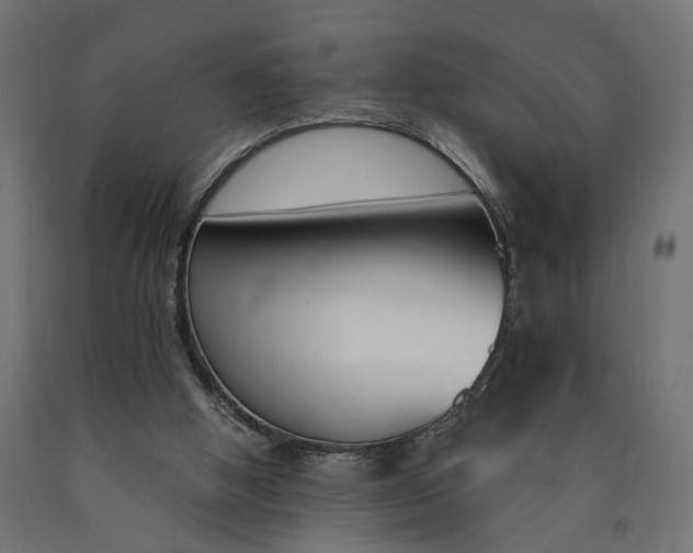 X0000090740058200708031554