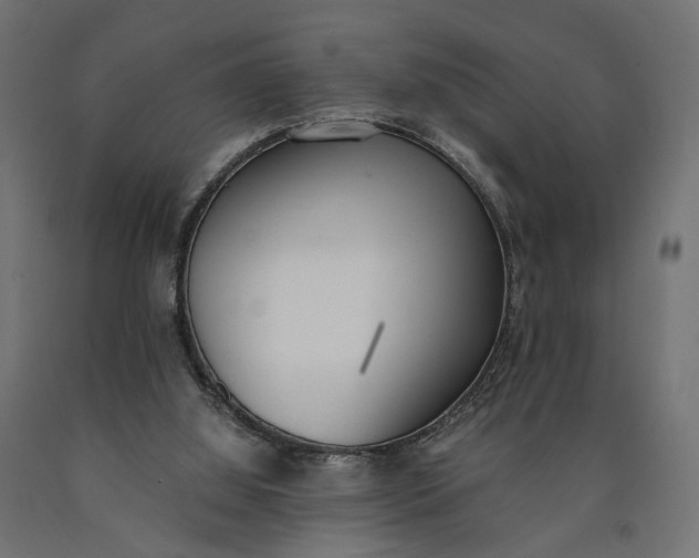 X0000090740060200708031554